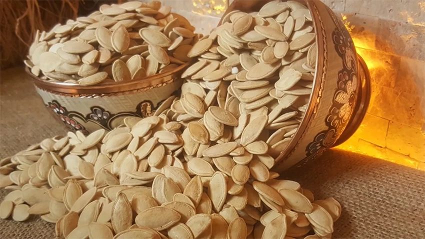 Close-up of Nevşehir pumpkin seeds roasted and ready to eat
