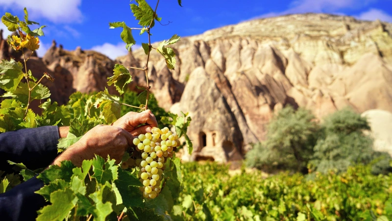 Wine Tasting Tour Cappadocia - Image 1